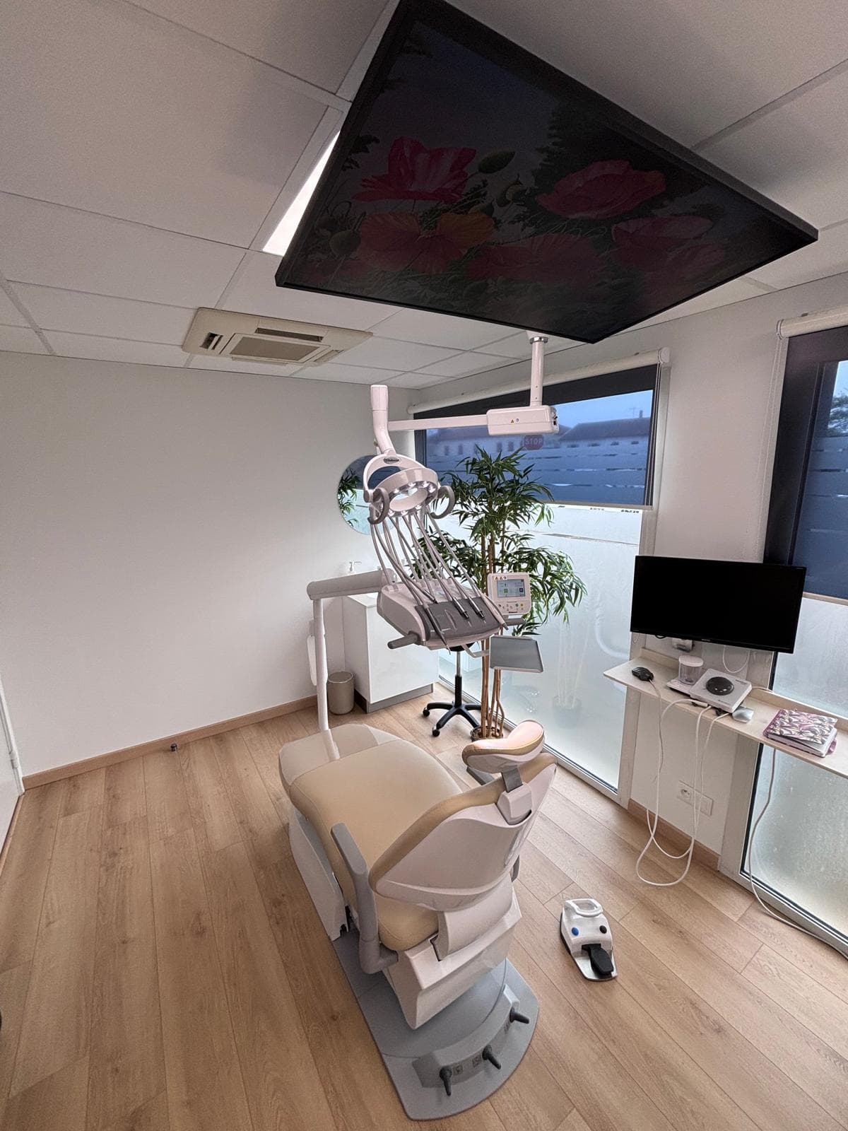 Cabinet avec plafond décoratif fleuri